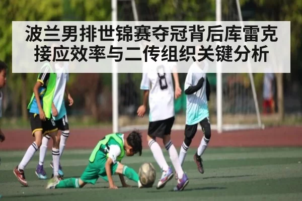 波兰男排世锦赛夺冠背后库雷克接应效率与二传组织关键分析